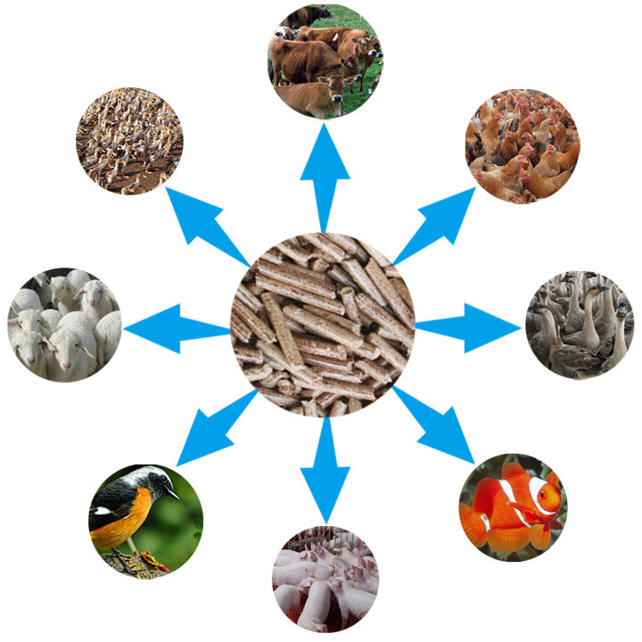 秸稈飼料顆粒機顆粒用途