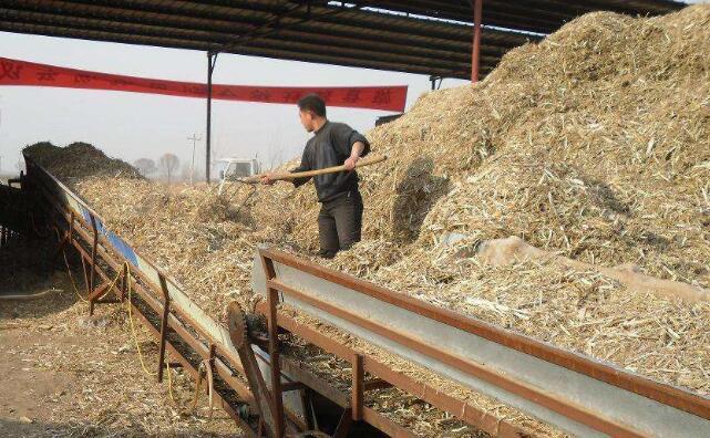 農(nóng)作物秸稈綜合利用