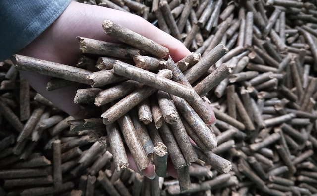 生物質(zhì)燃料 生物質(zhì)燃料