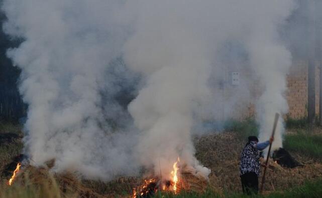 農(nóng)作物秸稈露天禁燒和綜合利用 農(nóng)作物秸稈露天禁燒和綜合利用
