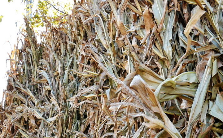 生物質(zhì)秸稈