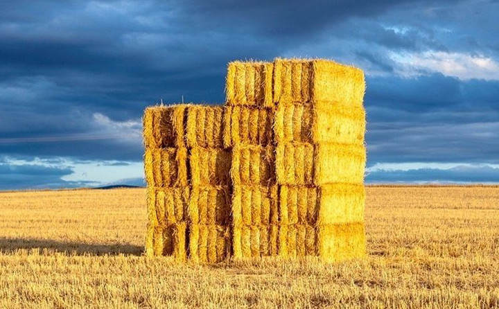 玉米秸稈顆粒機能源顆粒的四大誤區(qū)