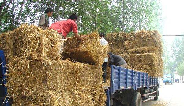 每年秋收過(guò)后，到轉(zhuǎn)年春耕，是秸稈處理的關(guān)鍵期