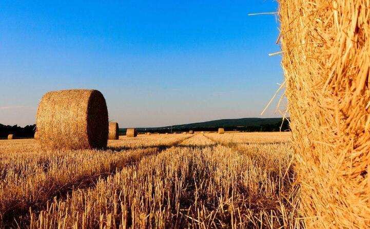 秸稈打捆進行粉碎 秸稈打捆進行粉碎