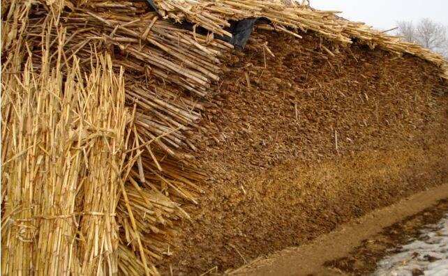 生物質(zhì)燃料原料