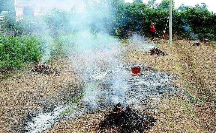 湖南秸稈焚燒 湖南秸稈焚燒