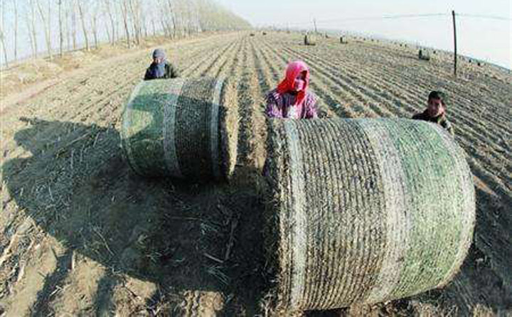 農(nóng)民進行秸稈打捆 農(nóng)民進行秸稈打捆