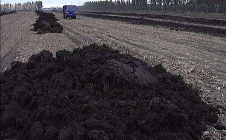 有機肥撒向土地 有機肥撒向土地