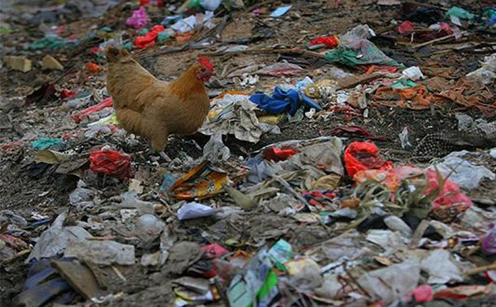 農(nóng)村和城市垃圾 農(nóng)村和城市垃圾