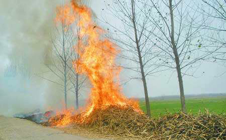 秸稈焚燒造成濃煙漫天 秸稈焚燒造成濃煙漫天