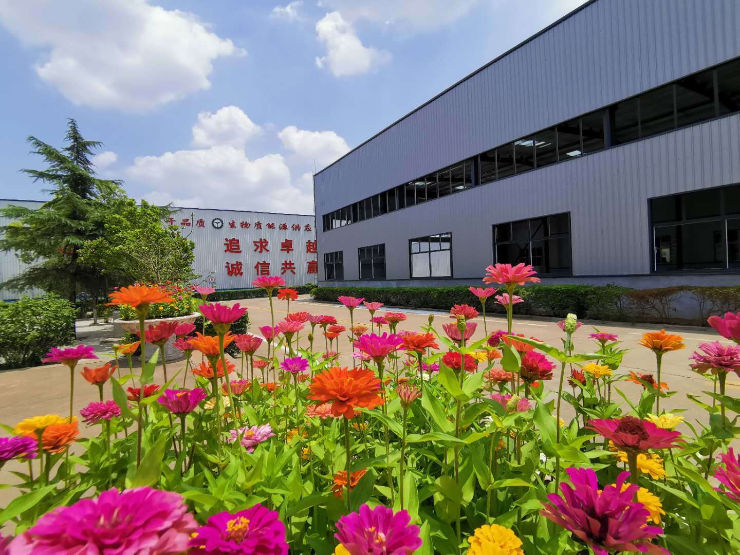 顆粒機(jī)廠家 顆粒機(jī)廠家