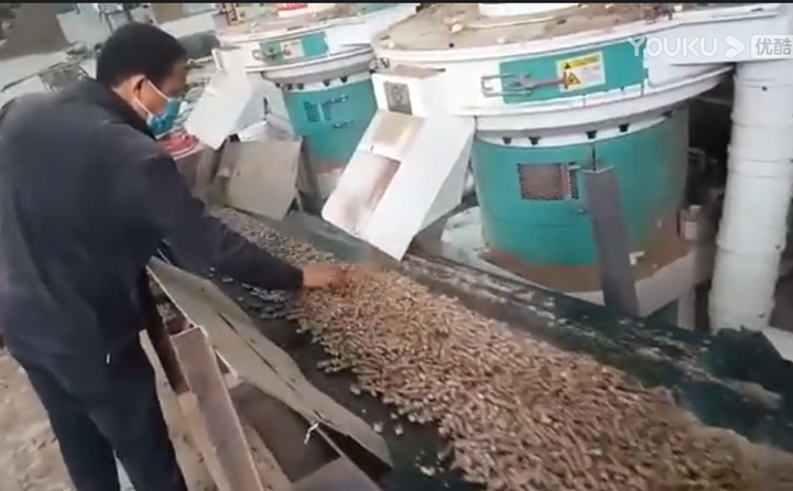 長治張總檢查顆粒情況