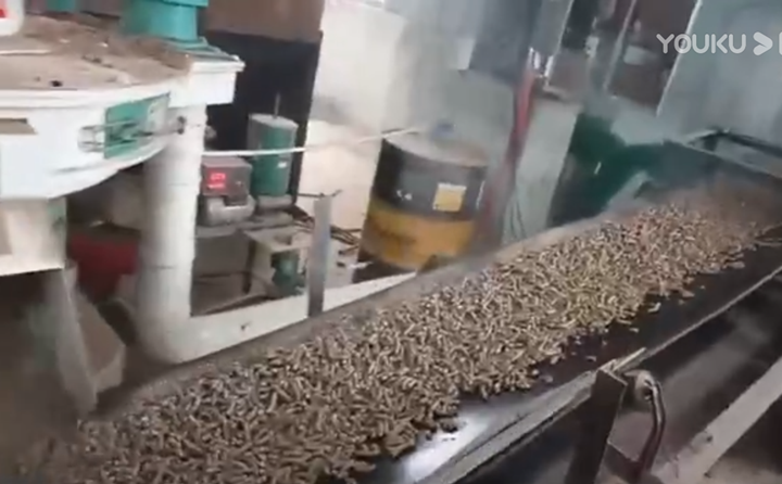 秸稈制粒機調試成功并正常生產(chǎn)