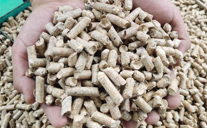 顆粒機加工的生物質(zhì)燃料