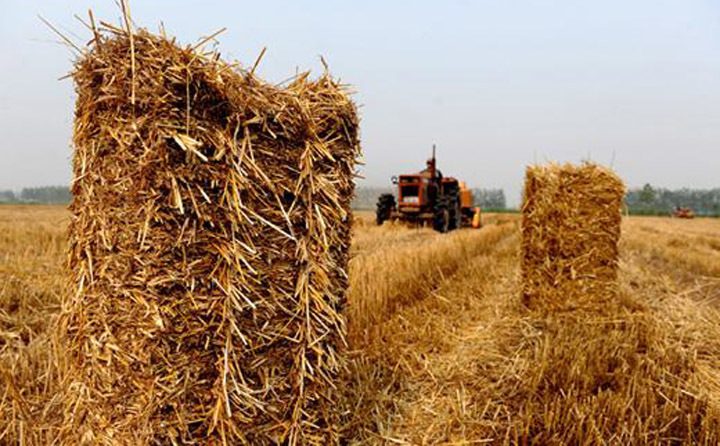 湖北秸稈綜合利用