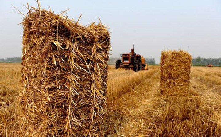 農(nóng)作物秸稈處理 農(nóng)作物秸稈處理