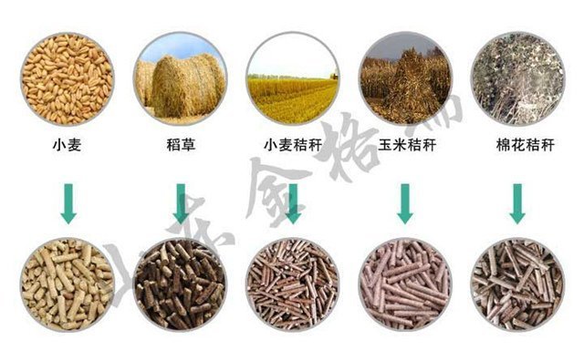 小麥秸稈顆粒機(jī)可以處理這些秸稈