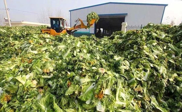 臨澤有招,變廢為寶,實現(xiàn)了秸稈、尾菜、畜禽糞便等廢棄物的“飼料化、菌料化、肥料化、燃料化”