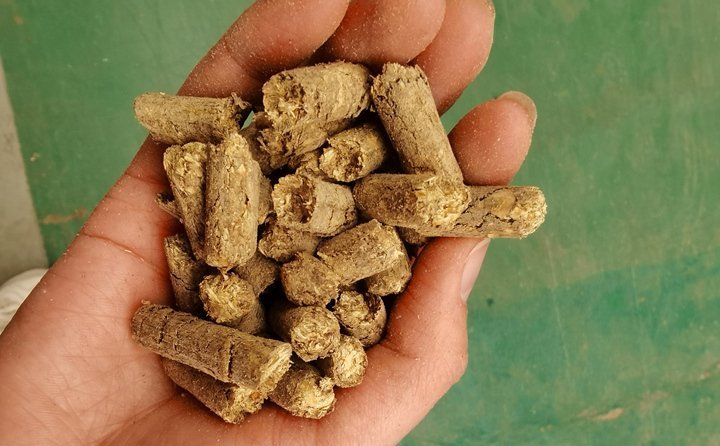 秸稈飼料顆粒機(jī)提高秸稈利用率，飼料顆粒機(jī)是以玉米、豆粕、秸稈、草、稻殼等為原料，通過粉碎原料后直接壓制成顆粒的飼料加工機(jī)械。