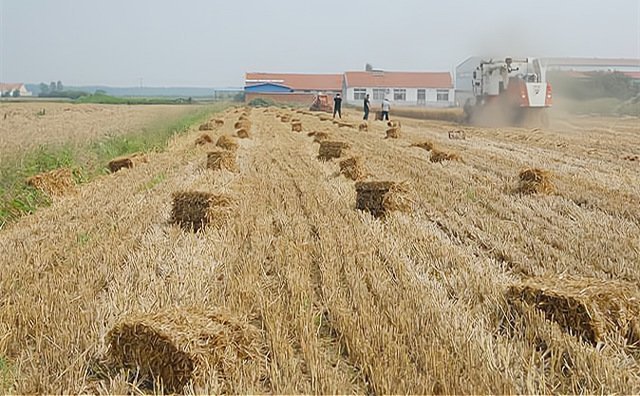 安徽省秸稈綜合利用 安徽省秸稈綜合利用