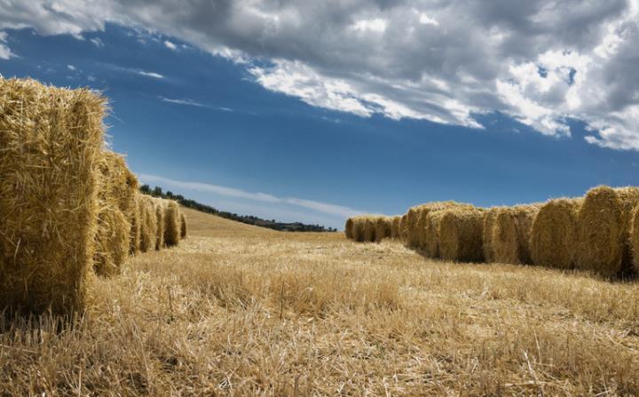 南昌縣廣福鎮(zhèn)助力秸稈循環(huán)利用 變廢為寶 實(shí)現(xiàn)三贏 南昌縣廣福鎮(zhèn)助力秸稈循環(huán)利用 變廢為寶 實(shí)現(xiàn)三贏