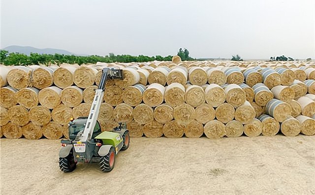 上海農(nóng)作物秸稈綜合利用補(bǔ)貼 上海農(nóng)作物秸稈綜合利用補(bǔ)貼
