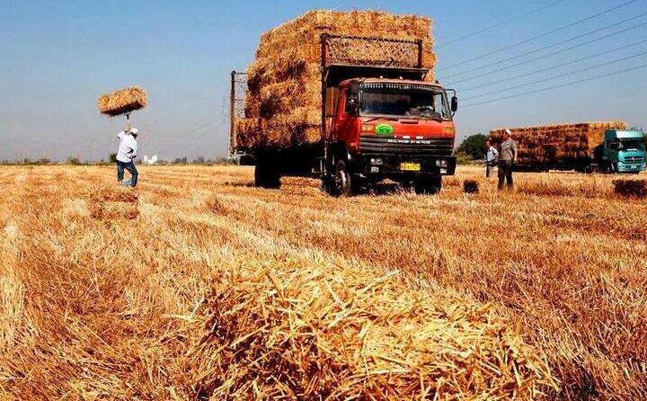 秸稈發(fā)電,清潔能源,生物質(zhì)燃料 秸稈發(fā)電,清潔能源,生物質(zhì)燃料