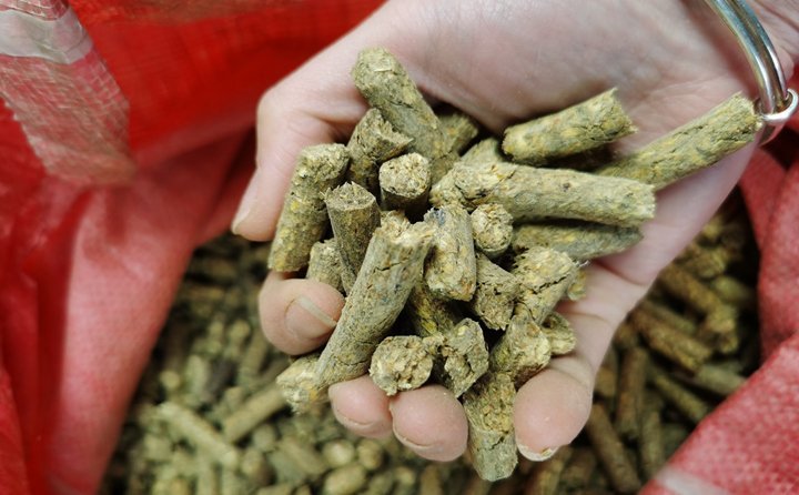 秸稈顆粒機(jī)就是將粉碎后的秸稈制成顆粒飼料，用于飼喂牛羊