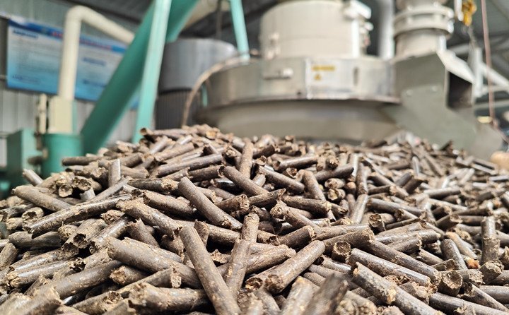 秸稈顆粒機(jī)加工的玉米秸稈顆粒