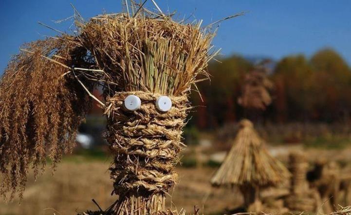 貴州省2023年創(chuàng)建100個(gè)秸稈綜合利用示范基地