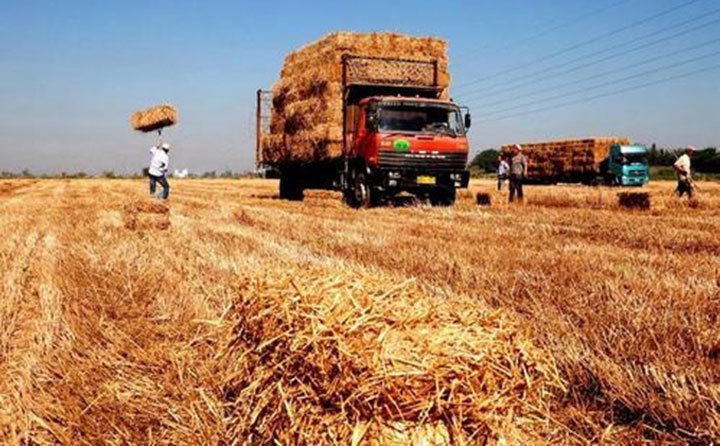 新疆福?？h大力推廣小麥秸稈回收再利用