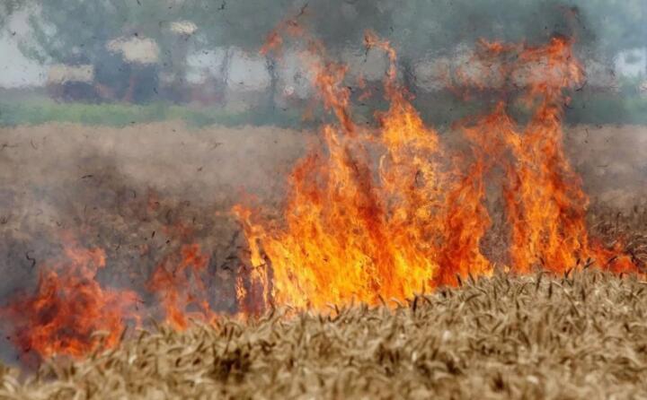 陜西省略陽縣白水江鎮(zhèn)2023年秸稈禁燒綜合利用