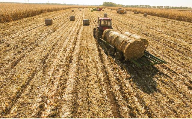 遼寧省沈北新區(qū)變“柴”為“財” 推動秸稈綜合利用