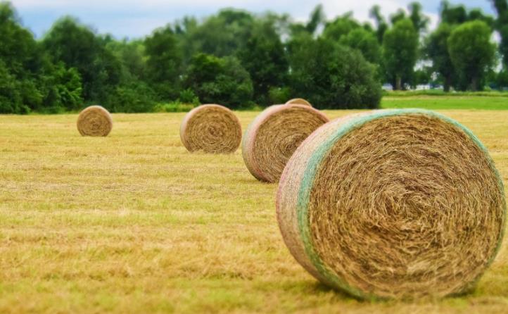 “秸”盡全力 “稈”在實處 華能泗水生物質(zhì)電廠多措并舉助力麥收