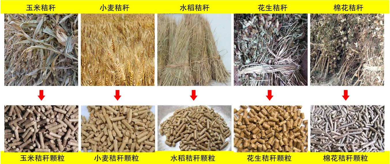 玉米秸稈、小麥秸稈等原材料
