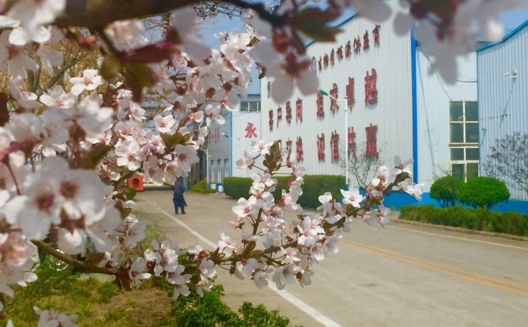 山東金格瑞的廠(chǎng)區(qū)一角美景